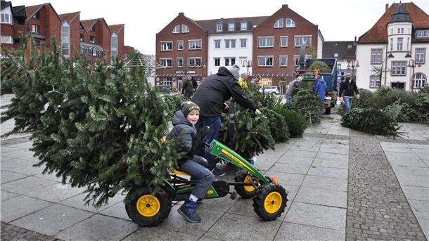 Auch mit einem Kettcar lässt sich ein ausrangierter Weihnachtsbaum zum Schreddern bringen