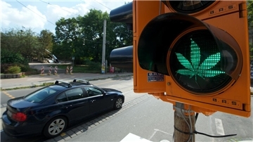 Eine Cannabis-Ampel