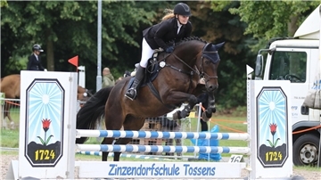Springreiten