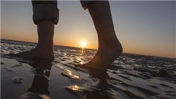 Auch wenn das Wattenmeer oft romantisch erscheint, werden immer wieder Menschen von der Flut überrascht und verunglücken.