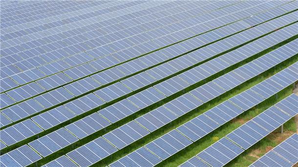 Auf 55 Hektar soll in der Nähe von Bokel einer der größten Solarparks im Cuxland entstehen.