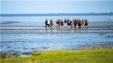 Bild von einer Gruppe von Wattwanderern im Watt vor Dangast