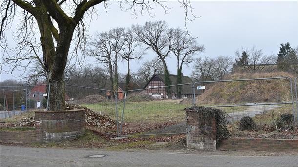Auf einer Brachfläche mit einem Bauzaun  sind vorne die Reste einer Backsteinmauer und ein hoher Baum zu sehen.