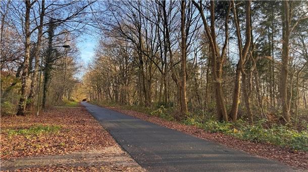 Auf der linken Seite der Straße „An der Reitbahn“ sollen Parkflächen entstehen.