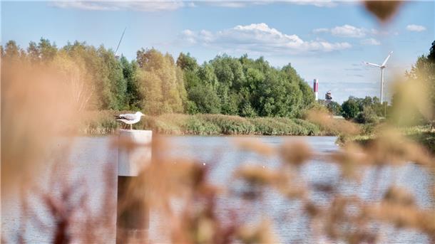 Auf der neuen Uferpromenade lassen sich romantische Aufnahmen der Geeste schießen.