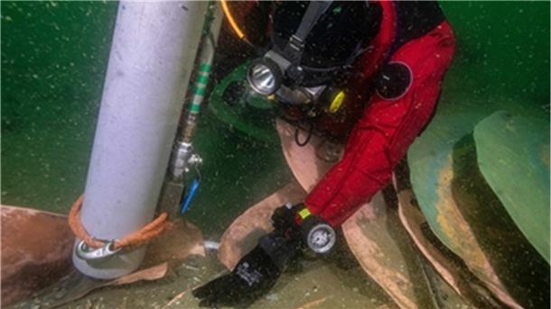 Auf der Suche nach verloren gegangener Fracht der MSC Zoe fanden Archäologen ein fast 500 Jahre altes Wrack mit wertvoller Ladung.
