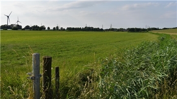 Auf diesen Grünland-Flächen unweit des stillgelegten Kernkraftwerks in Kleinensiel will Tennet für zwei geplante Konverter-Stationen eine Zufahrtsstraße von der Dedesdorfer Straße kommend errichten.