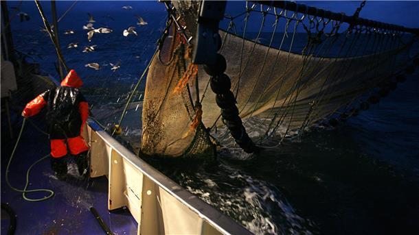 Müll im Meer: Warum die Fedderwardersieler Kutterfischer sauer sind Auf einem Krabbenkutter werden am späten Abend auf der Nordsee die Netze eingeholt. Immer wieder finden die Fischer darin auch Müll.