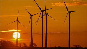 Windräder auf einem Feld. Im Hintergrund ist die aufgehende Sonne zu sehen.