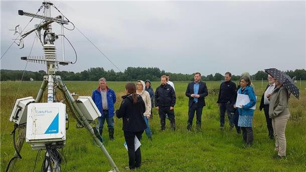 Männer und Frauen stehen im Gras.
