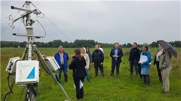 Männer und Frauen stehen im Gras.