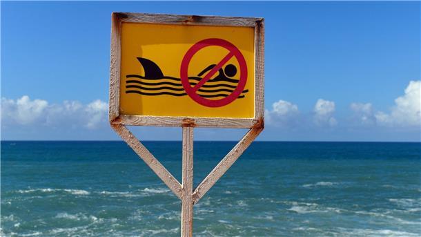 Surfer auf Hawaii von Hai getötet Auf Hawaii ist ein bekannter Surfer von einem Hai getötet worden.