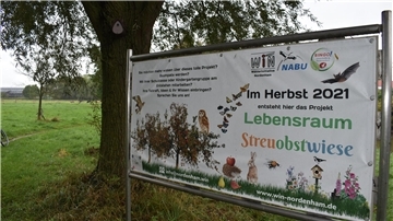 Obstwiese in der Nähe der Stadtpark-Siedlung 