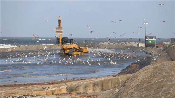 Auf Norderney ist die Sandaufspülung am Westkopf der Insel rechtzeitig fertig geworden. 