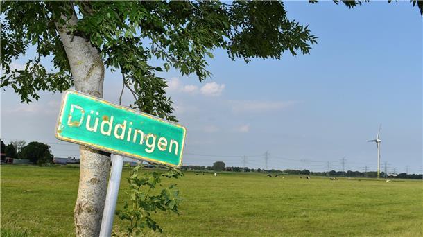 Auf Vorrangflächen für die Landwirtschaft möchte eine private Investorin in Düddingen einen Solarpark errichten und betreiben. Foto Schnieder