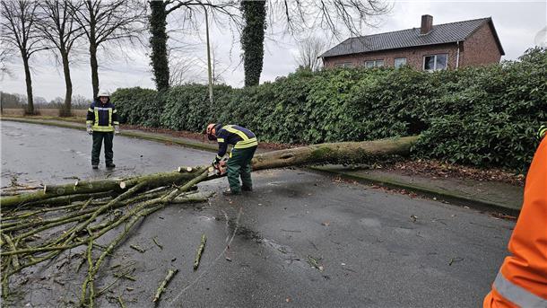 Einsätze für die Feuerwehren in Brillit und Gnarrenburg Aufgrund des Sturmtiefs musste die Ortsfeuerwehr Brillit einen Baum von der Straße entfernen.
