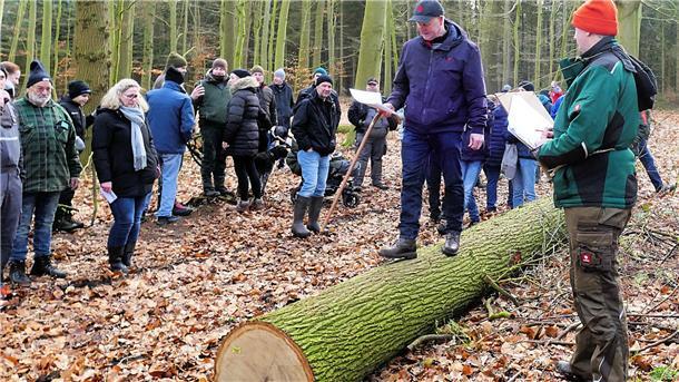 Bei der Holzauktion in Holßel balanciert Auktionator Uwe Lielienthal auf einem gefällten Baumstamm, während er den Anwesenden die Holzsorte erläutert.