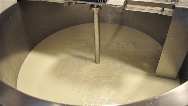 Aus dieser Milch wird Käse.