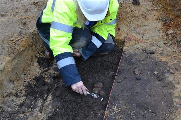 Suedlink: Etliche archäologische Funde im Landkreis Rotenburg Ausgräberin Sarah Roß stößt beim Freilegen der Feuerstelle im Kabelgraben südlich von Wense auf drei Tonscherben.