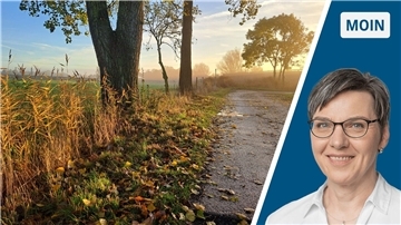 Collage Feldweg im Herbst / Portrait Andrea Vogt