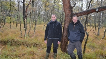 Zwei Männer stehen an einem Baum im Moor. 