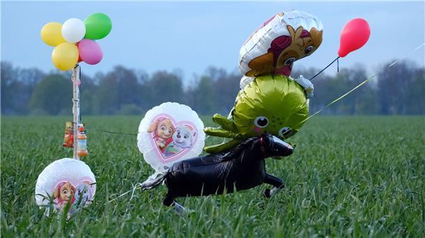 Suche nach Arian jetzt mit Lichtkegeln und Kinderliedern Ballons und Süßigkeiten stehen auf einem Feld bei Bremervörde. Von einem vermissten sechs Jahre alten Jungen aus dem niedersächsischen Bremervörde fehlt noch immer jede Spur.