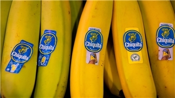 Bananen von Chiquita liegen in einem Supermarktregal in Bayern. (Archivbild) 