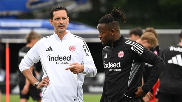 Frankfurt-Profi bangt um seine Katze - Aufruf zur Blutspende Bangt um seine Katze: Michy Batshuayi (Archivbild).