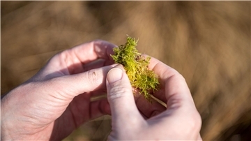 Bauernverbände haben die Sorge, dass Landwirte durch Vorgaben zu sehr eingeschränkt werden könnten.