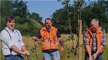 Baum-Challenge in Nordenham: Bürgermeister Nils Siemen (links) pflanzte zusammen mit Lars Steenken (Mitte) und Klaus König vom Bauhof einen Apfelbaum in Atens.