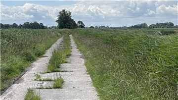 Von Gras überwucherter Wirtschaftsweg in Butjadingen.