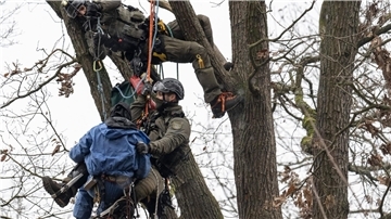 Beamte eine Spezialeinsatzkommandos (SEK) der Polizei seilen einen Baumbesetzer aus einem Baumhaus ab.