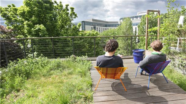 Begrünte Dächer haben in Zeiten des Klimawandels viele Vorteile. Sie verbessern das Stadtklima und fangen Niederschläge auf.