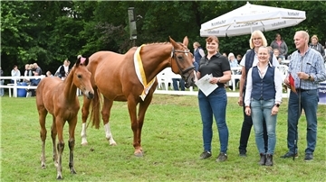 Bei den Dressurfohlen konnte sich ein Stutfohlen von „Bon Bolero“ durchsetzen. Züchter dieses Fohlens ist der Basdahler Klaus Michaelis (rechts), Besitzerin ist seine Tochter Vanessa Fleckenstein (links).