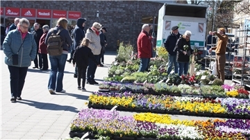 Bei der Gewerbeschau in Beverstedt ist das Angebot an Frühlingsblühern groß.