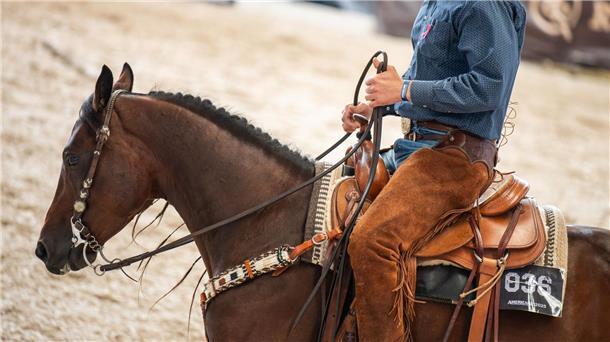 Bei der Messe Americana dreht sich alles ums Westernreiten.