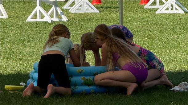 Kinder auf einem Rasen, spielend. Bei der Sommerolympiade auf dem Rhader Sportplatz tobten sich die Kinder aus. Wasserspiele, Hüpfburgen und Kuchenbuffet sorgten für beste Ferienlaune.