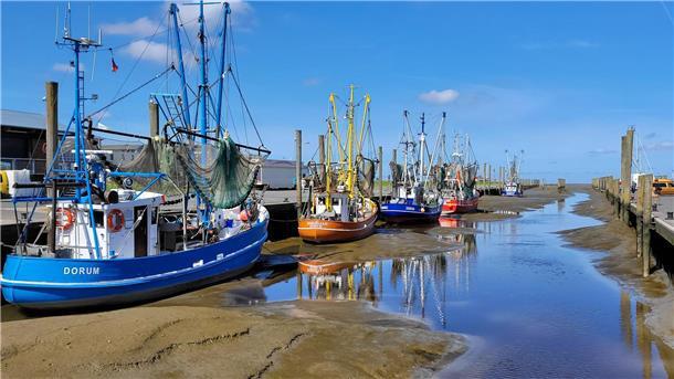 Der Kutterhafen in Dorum-Neufeld gehört zu den Besuchermagneten bei Tagesgästen und Urlaubern an der Wurster Nordseeküste.