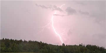 Bei einem Gewitter am Dienstagmorgen gab es einen Blitz der stärksten Kategorie, ein „Wilder Hausrüttler“ in Bremerhaven-Wulsdorf (Symbolbild).