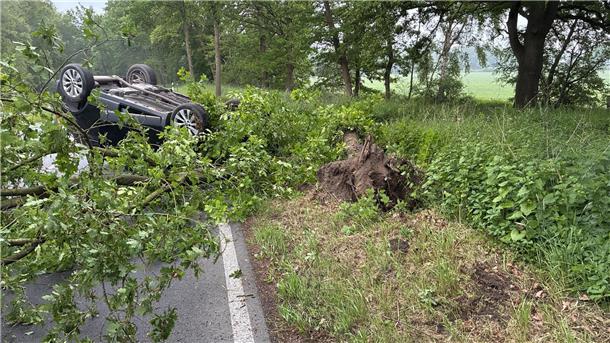 Glück im Unglück: Pkw überschlägt sich – Fahrer leicht verletzt Ein Auto liegt auf dem Kopf, daben ein umgestürzter Baum
