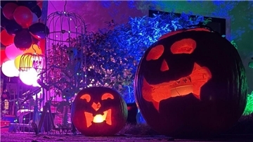 Kürbisse auf einer Halloween-Party.