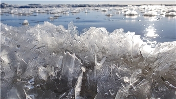 Bei intensivem Frost und ablaufendem Wasser gefriert das Watt – wie hier vor Dorum-Neufeld. In Minutenschnelle wachsen Tausende Eiskristalle, deren Blüten nur Bruchteile eines Millimeters messen.