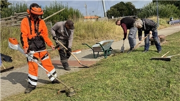 Bei Pflegearbeiten am Strandweg (von links): Heike Grögel, Michell Gleibs und Daniel von Häfen sowie Gruppenleiter Ralf Peltzer. Die Aufnahme ist im September entstanden.