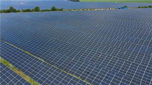 Das Foto zeigt einen Solarpark.