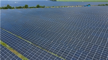 Das Foto zeigt einen Solarpark.