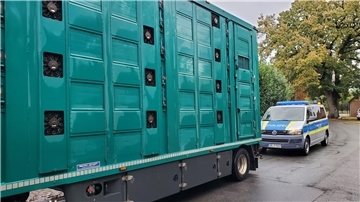 Hygiene-Mängel bei Tiertransporten: Polizei und Amt kontrollieren A27 Bei Tiertransport-Kontrollen auf der A27 im Kreis Cuxhaven sind Verstöße gegen Tierschutz und Hygiene festgestellt und Bußgelder verhängt worden.