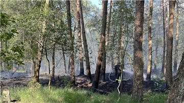 Das Foto zeigt Feuerwehrleute bei der Löscharbeit. 