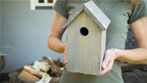 Nistkästen: Mindestens zwei Meter über dem Bodenaufhängen Beim Anbringen eines Nistkastens sollte man auf die Bedürfnisse der Vögel achten. Foto: Klose/dpa-tmn