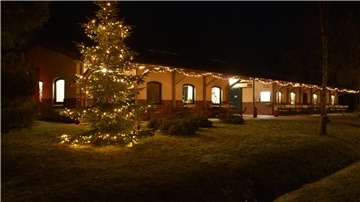 Das Foto zeigt das Haus der Natur bei Nacht. 