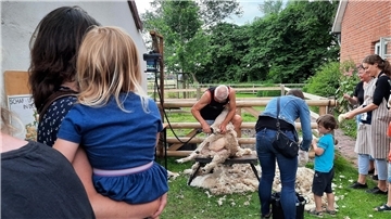 Foto vom Schaftag im vergangenen Jahr